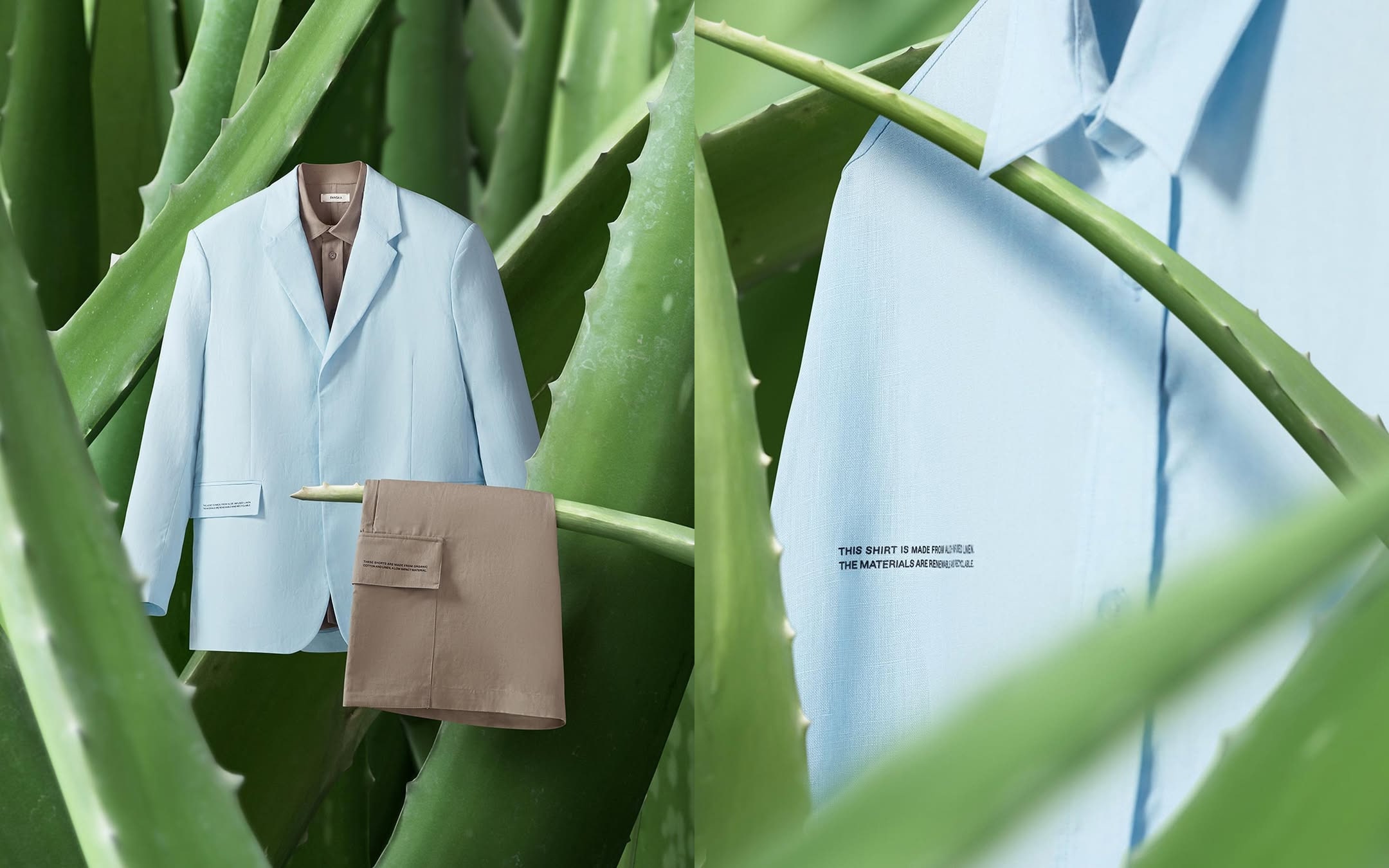 Light blue blazer and beige bag displayed among large aloe leaves